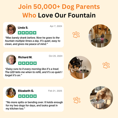 The Doggy Fountain™