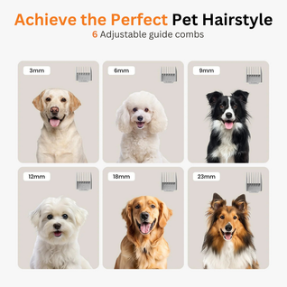 Doggy 7-in-1 Vacuum Kit