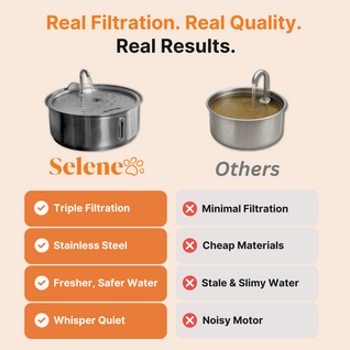 The Doggy Fountain™