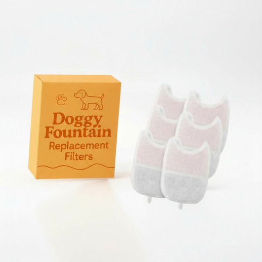 6 Filter Pack - 4 Months