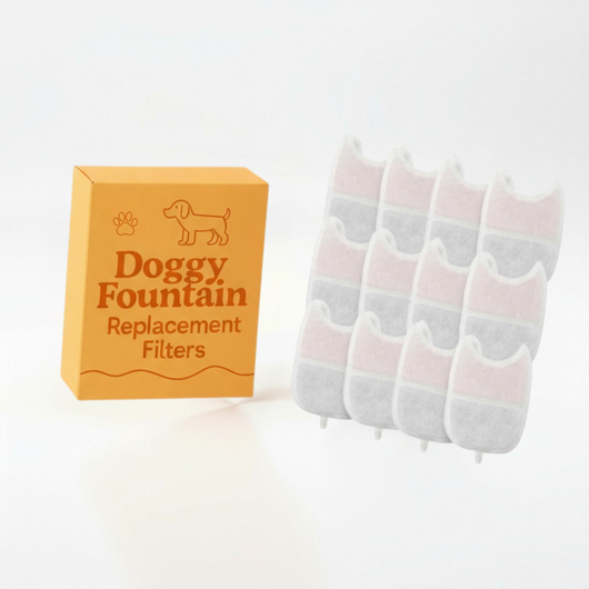 6-Month Supply • 12 Filters