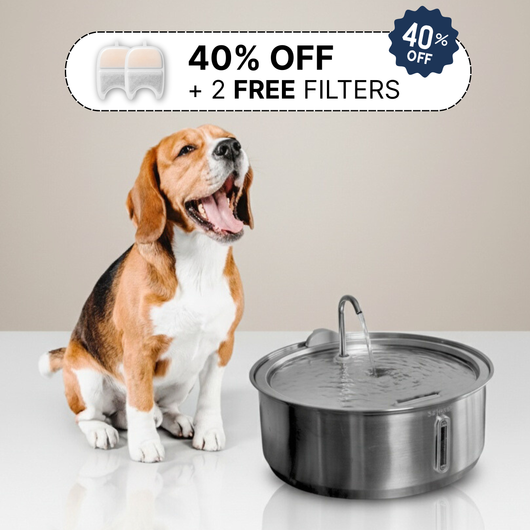 The Doggy Fountain™