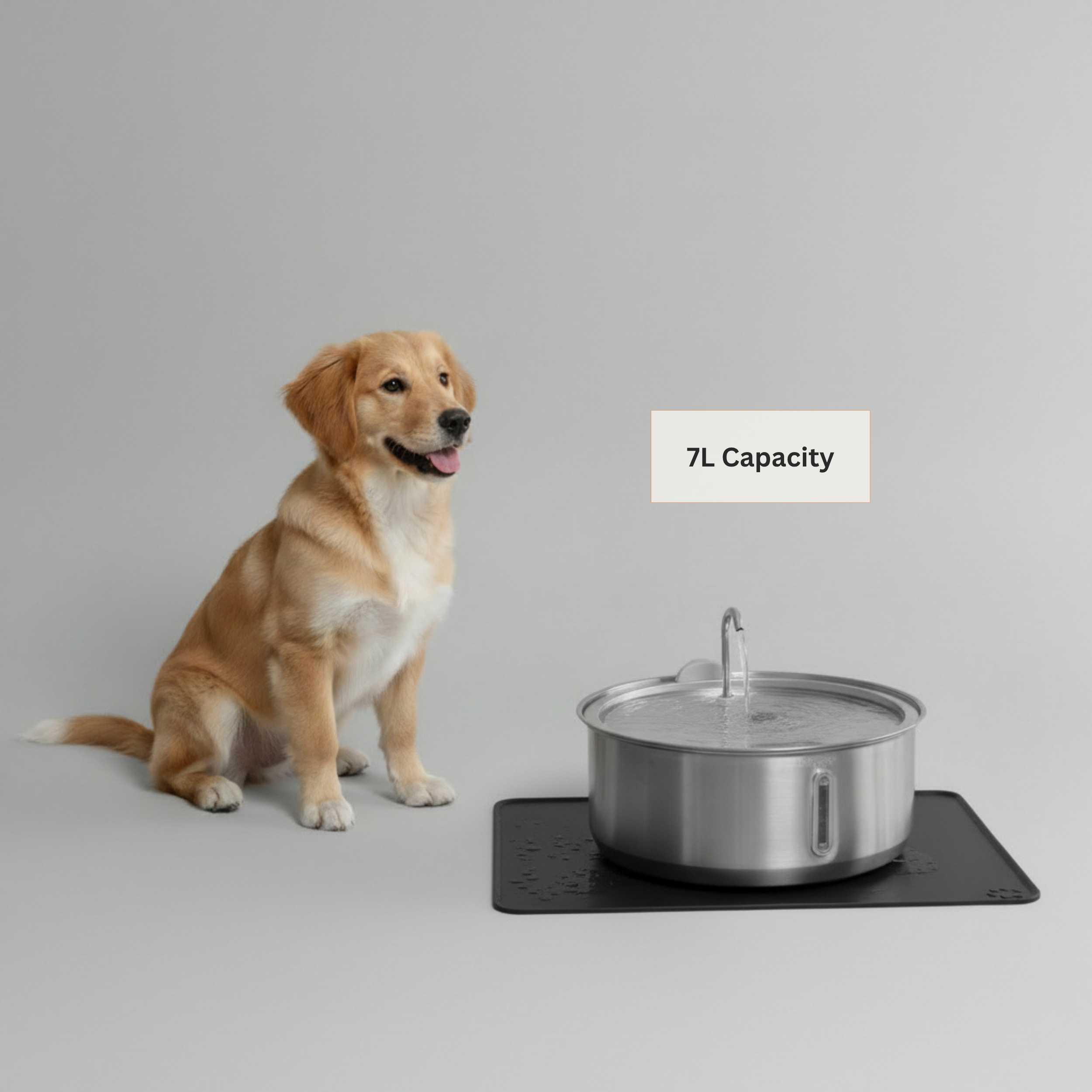 The Doggy Fountain™