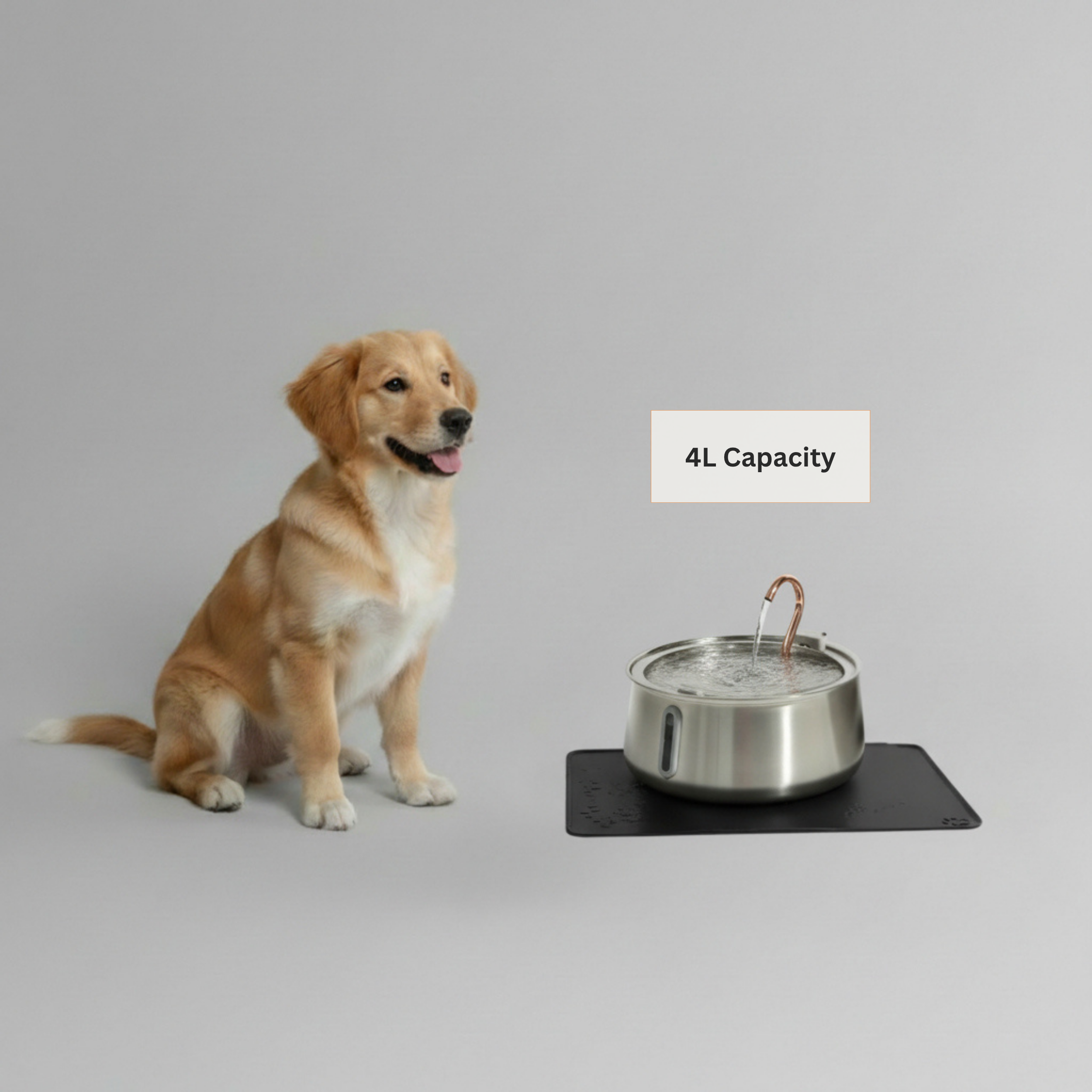 The Doggy Fountain™