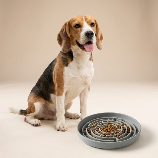 Slow Feeder Bowl