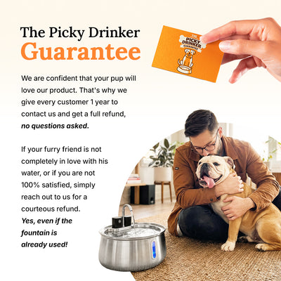 Wireless Fountain™ - Complete Duo Pack