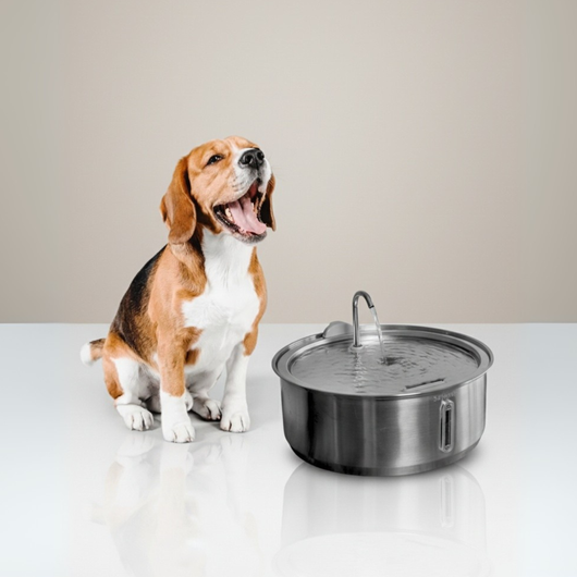 The Doggy Fountain™ UGC