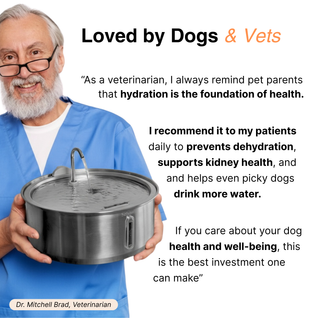 The Doggy Fountain ™