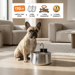 Wireless Doggy Fountain™