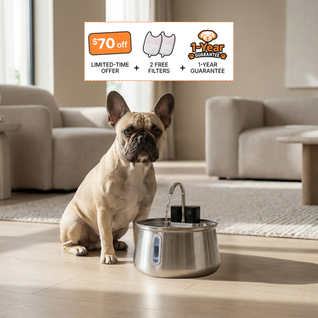 The Doggy Fountain™