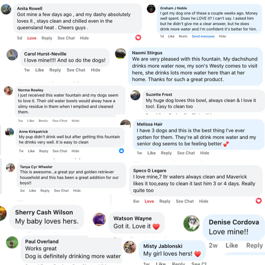 Doggy Fountain™ - The Complete Set