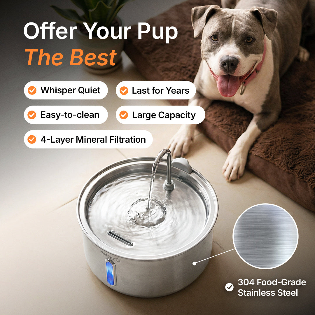 plug-in 4l capacity with dental boost
