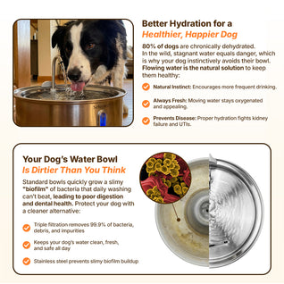 The Doggy Fountain™