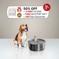 The Doggy Fountain ™