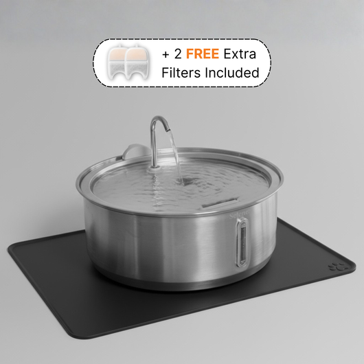 The Doggy Fountain - Complete Set