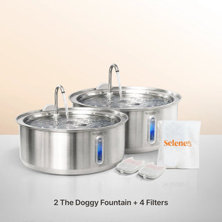 Doggy Fountain™ - The Twin Bundle