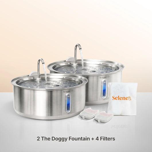 Doggy Fountain™ - The Twin Bundle
