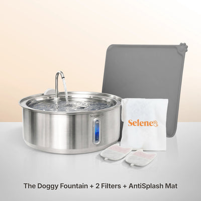 Doggy Fountain™ - The Starter Kit