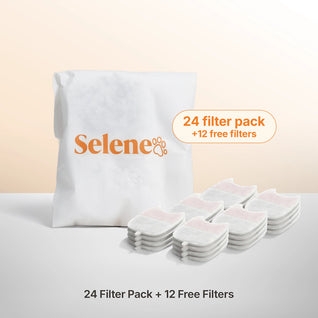 Doggy Fountain Filters - The Year Supply