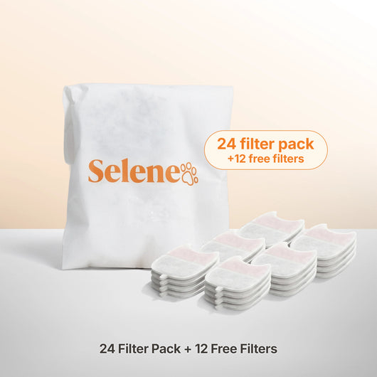 Doggy Fountain Filters - The Year Supply