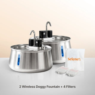 Wireless Fountain™ - The Twin Bundle