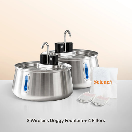 Wireless Fountain™ - The Twin Bundle