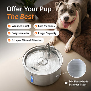 Doggy Fountain™ - Care Bundle