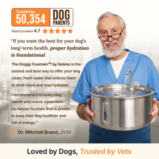 Doggy Fountain™ - The Starter Kit