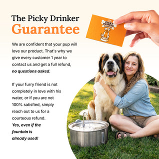 Doggy Fountain™ - The Starter Kit