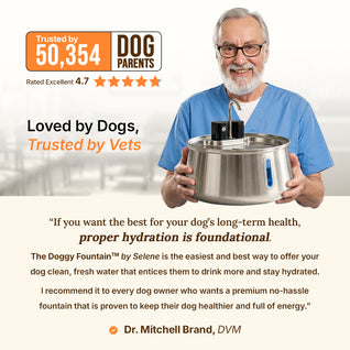 The Doggy Fountain™