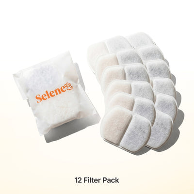 Plug-In 2.0 Fountain Filters