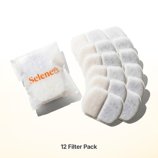 Plug-In 2.0 Fountain Filters