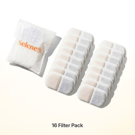 Plug-In 2.0 Fountain Filters