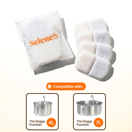 Plug-In 2.0 Fountain Filters