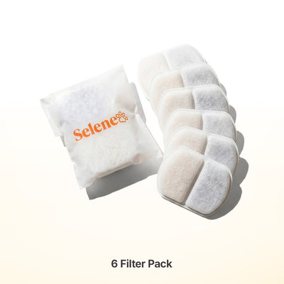 Plug-In 2.0 Fountain Filters