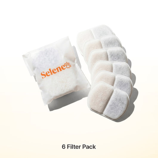 Plug-In 2.0 Fountain Filters