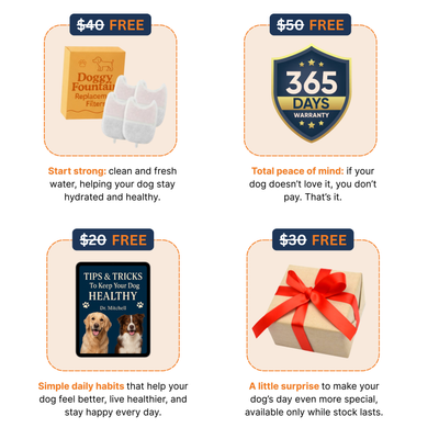 The Doggy Fountain™ (Copy)