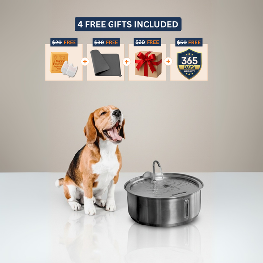 The Doggy Fountain™