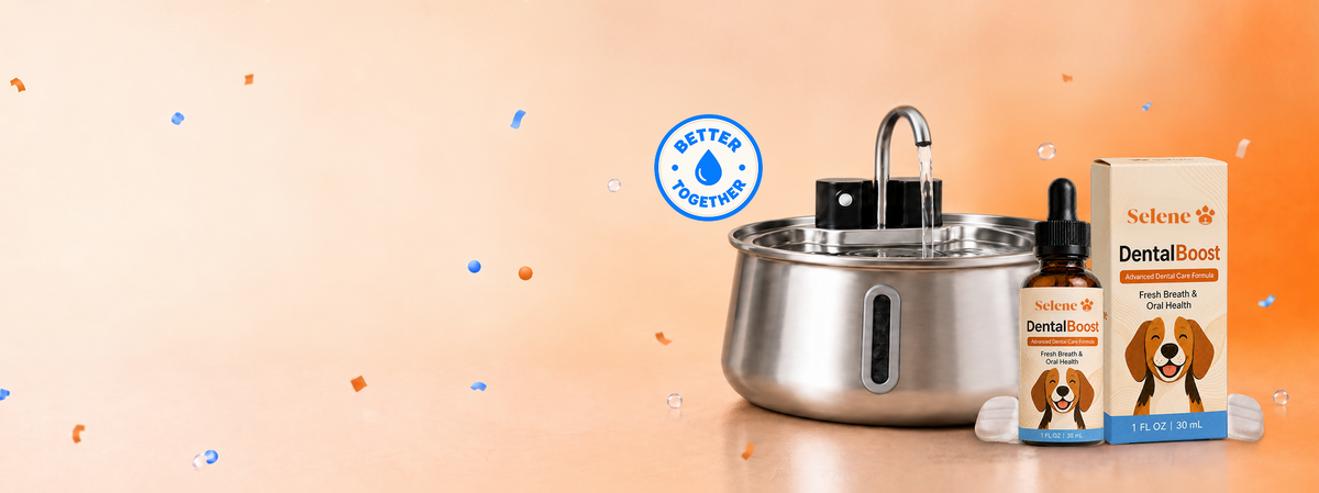 Better Water.&nbsp;Better Health.Now $70 OFF.