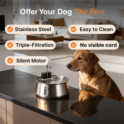 Wireless Doggy Fountain™