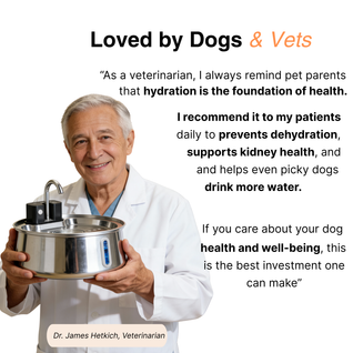 Wireless Doggy Fountain™