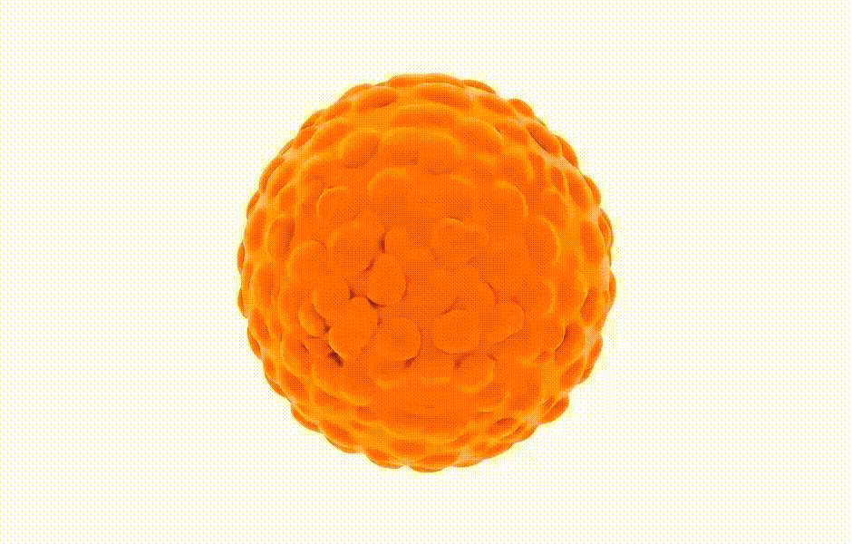 Superior Absorption for
