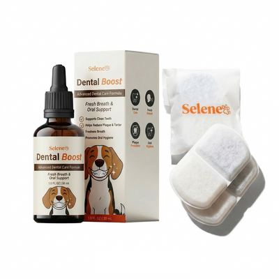 2 Replacement Wireless Filters + Dental Boost